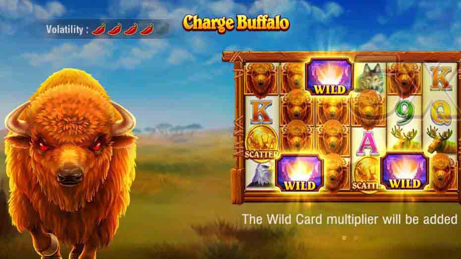 Charge Buffalo Features